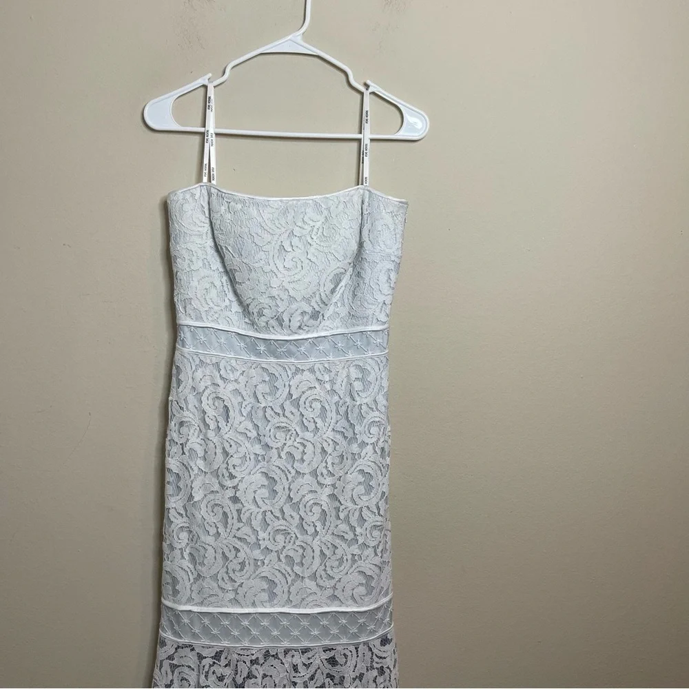 Tadashi Shoji Lace Overlay Strapless Dress - Picture 5 of 14